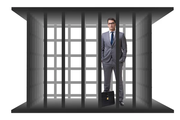 Businessman in the cage isolated on white — Stock Photo, Image