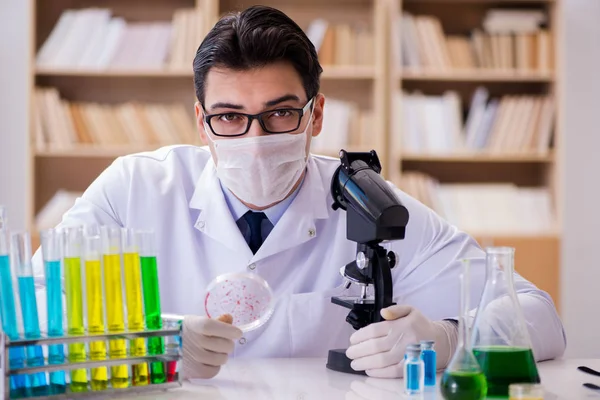 Dokter die virusbacteriën in het lab bestudeert — Stockfoto