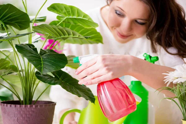 Mujer joven cuidando plantas en casa — Foto de Stock