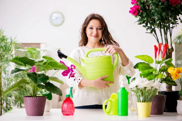 Jeune femme s'occupant des plantes à la maison — Photo