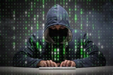 Veri güvenliği konseptinde genç bir hacker