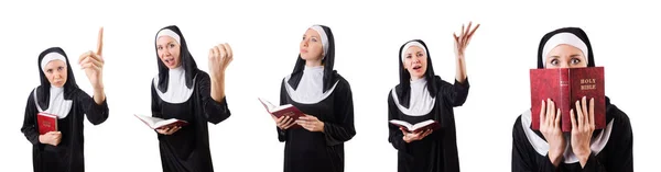 Hübsche Nonne mit Bibel isoliert auf weiß — Stockfoto