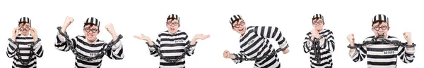 Funny prison inmate in concept — Stock Photo, Image