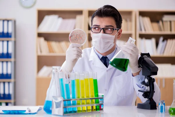 Médico estudiando bacterias virales en el laboratorio —  Fotos de Stock