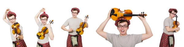 Смешной шотландец со скрипкой на белом — стоковое фото