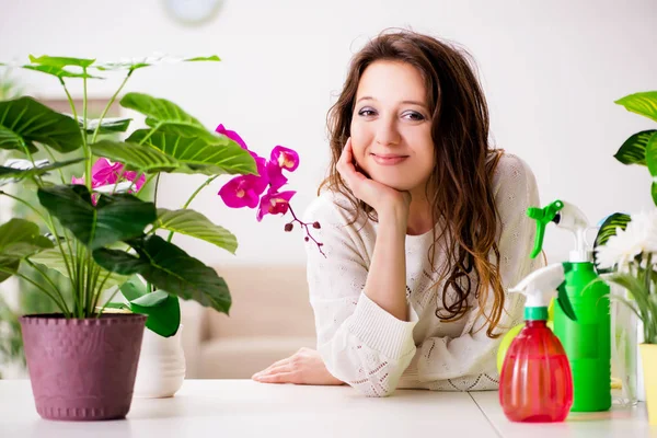 Jonge vrouw op zoek naar planten thuis — Stockfoto