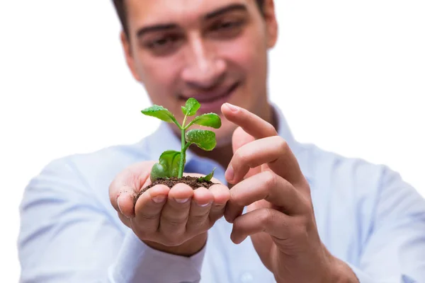 Man som håller gröna plantor isolerade på vit — Stockfoto