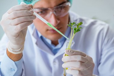 Laboratuvarda çalışan biyoteknoloji bilimcisi.