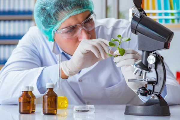A laborban dolgozó biotechnológiai tudós — Stock Fotó