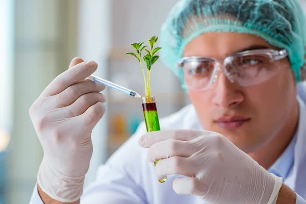 Científico biotecnológico trabajando en el laboratorio —  Fotos de Stock