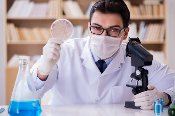 Läkare studerar virusbakterier i labbet — Stockfoto