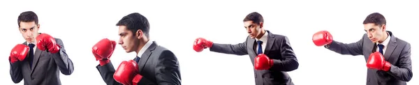 Empresario con guantes de boxeo en blanco — Stockfoto