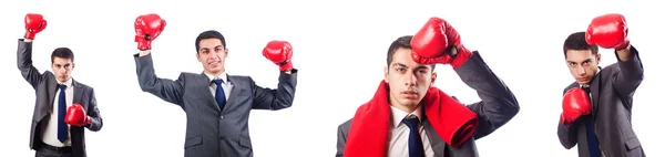 Empresario con guantes de boxeo en blanco — Stockfoto