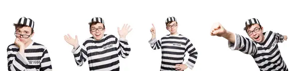 Funny prison inmate in concept — Stock Photo, Image