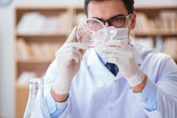 Medico che studia i batteri virali in laboratorio — Foto Stock