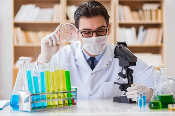 Médico que estuda bactérias virais no laboratório — Fotografia de Stock