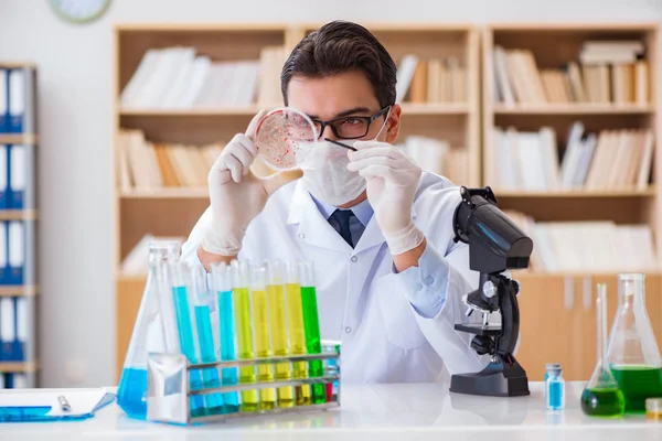 Medico che studia i batteri virali in laboratorio — Foto Stock