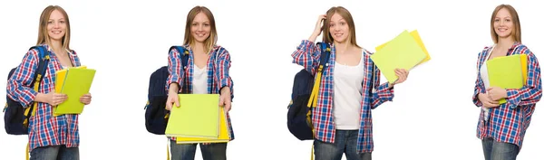 Collage de jeunes étudiantes sur blanc — Photo