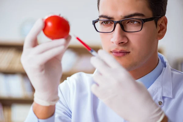 Científico trabajando en frutas y verduras orgánicas —  Fotos de Stock