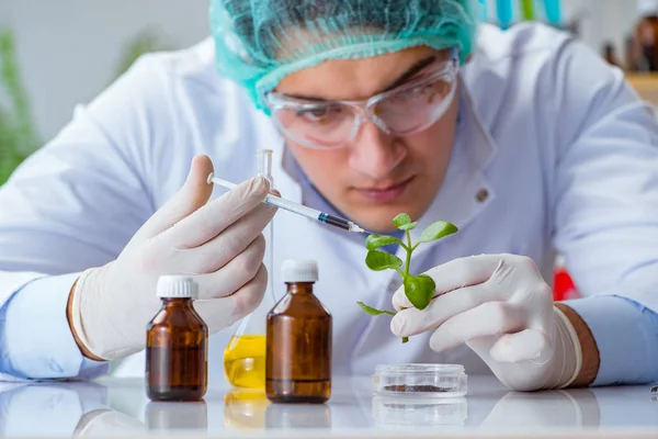 Biotechnologie wetenschapper werkzaam in het lab — Stockfoto