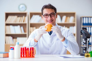 Bilim adamı organik meyve ve sebzeler üzerinde çalışıyor.