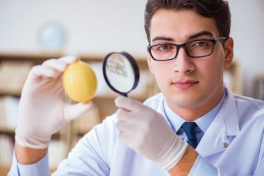 Bilim adamı organik meyve ve sebzeler üzerinde çalışıyor.
