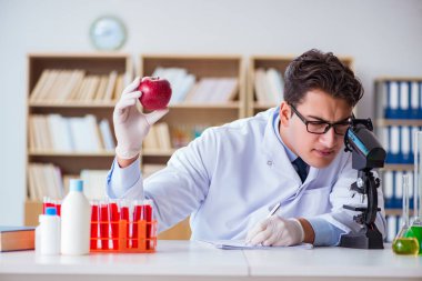 Bilim adamı organik meyve ve sebzeler üzerinde çalışıyor.