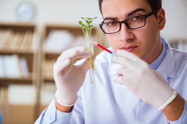 Laboratuvarda çalışan biyoteknoloji bilimcisi.