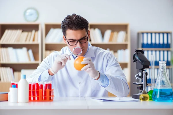 Bilim adamı organik meyve ve sebzeler üzerinde çalışıyor.