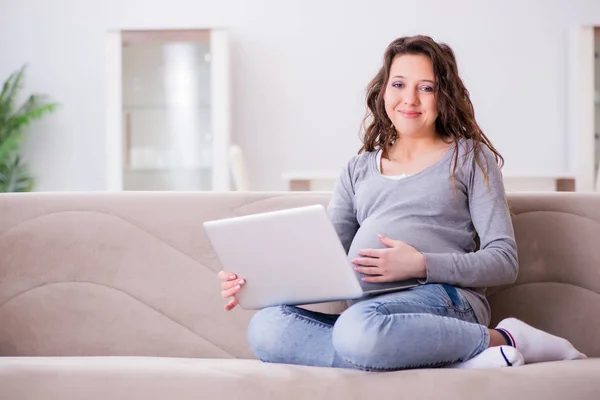 Dizüstü bilgisayarda çalışan hamile kadın kanepede oturuyor. — Stok fotoğraf