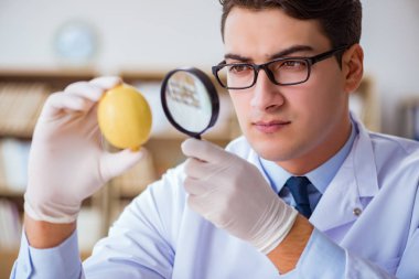 Bilim adamı organik meyve ve sebzeler üzerinde çalışıyor.