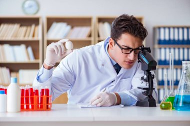 Bilim adamı organik meyve ve sebzeler üzerinde çalışıyor.