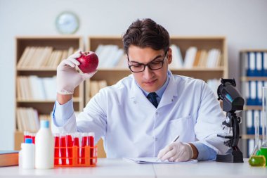 Bilim adamı organik meyve ve sebzeler üzerinde çalışıyor.