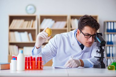 Bilim adamı organik meyve ve sebzeler üzerinde çalışıyor.