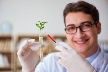 Laboratuvarda çalışan biyoteknoloji bilimcisi.