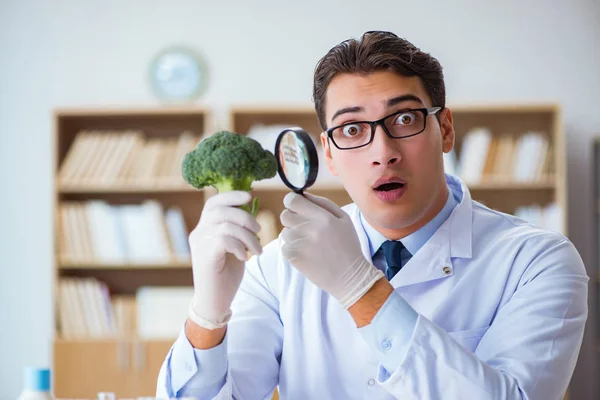 Cientista que trabalha em frutas e legumes orgânicos — Fotografia de Stock