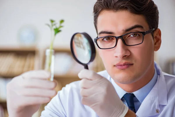 Biotechnologický vědec pracující v laboratoři — Stock fotografie