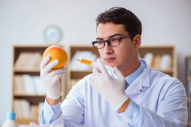 Bilim adamı organik meyve ve sebzeler üzerinde çalışıyor.
