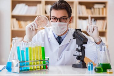 Doktor laboratuvarda virüs bakterileri üzerinde çalışıyor.