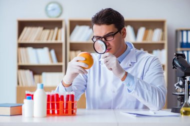 Bilim adamı organik meyve ve sebzeler üzerinde çalışıyor.