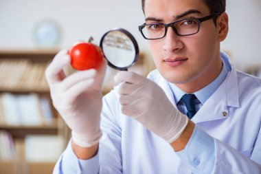 Bilim adamı organik meyve ve sebzeler üzerinde çalışıyor.