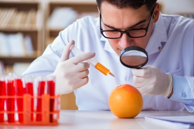 Bilim adamı organik meyve ve sebzeler üzerinde çalışıyor.