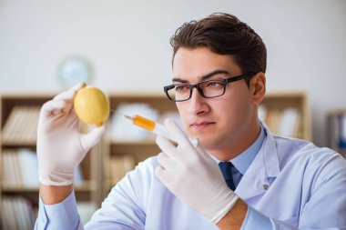 Bilim adamı organik meyve ve sebzeler üzerinde çalışıyor.