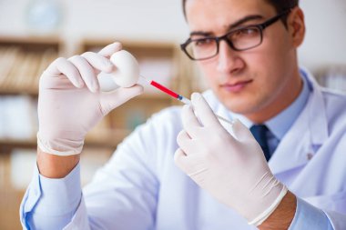 Bilim adamı organik meyve ve sebzeler üzerinde çalışıyor.