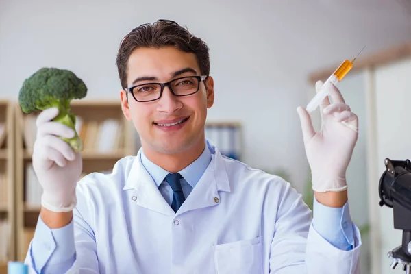 Científico trabajando en frutas y verduras orgánicas — Foto de Stock