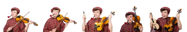 Grappige scotsman met viool op wit — Stockfoto