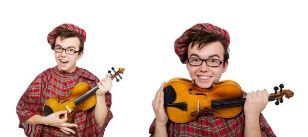 Смешной шотландец со скрипкой на белом — стоковое фото