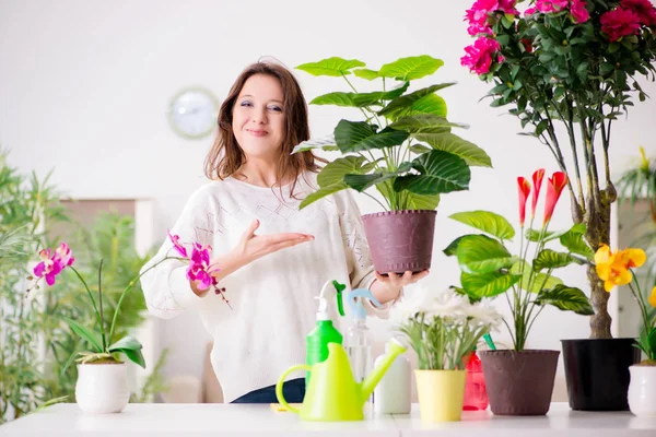 Mujer joven cuidando plantas en casa — Foto de Stock