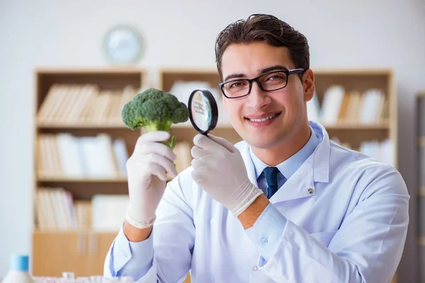 Bilim adamı organik meyve ve sebzeler üzerinde çalışıyor. — Stok fotoğraf