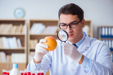 Bilim adamı organik meyve ve sebzeler üzerinde çalışıyor.